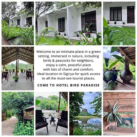 Hotel Bird Paradise Sigiriya Exterior foto