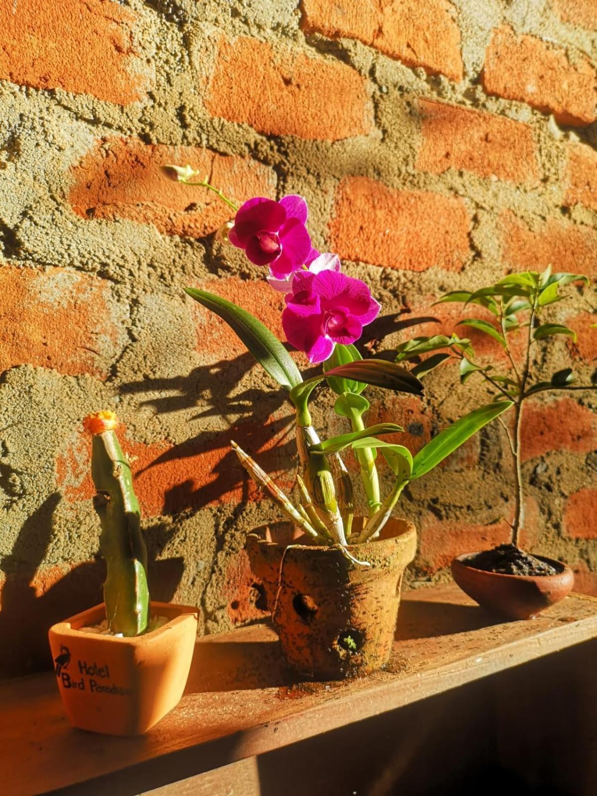 Hotel Bird Paradise Sigiriya Exterior foto