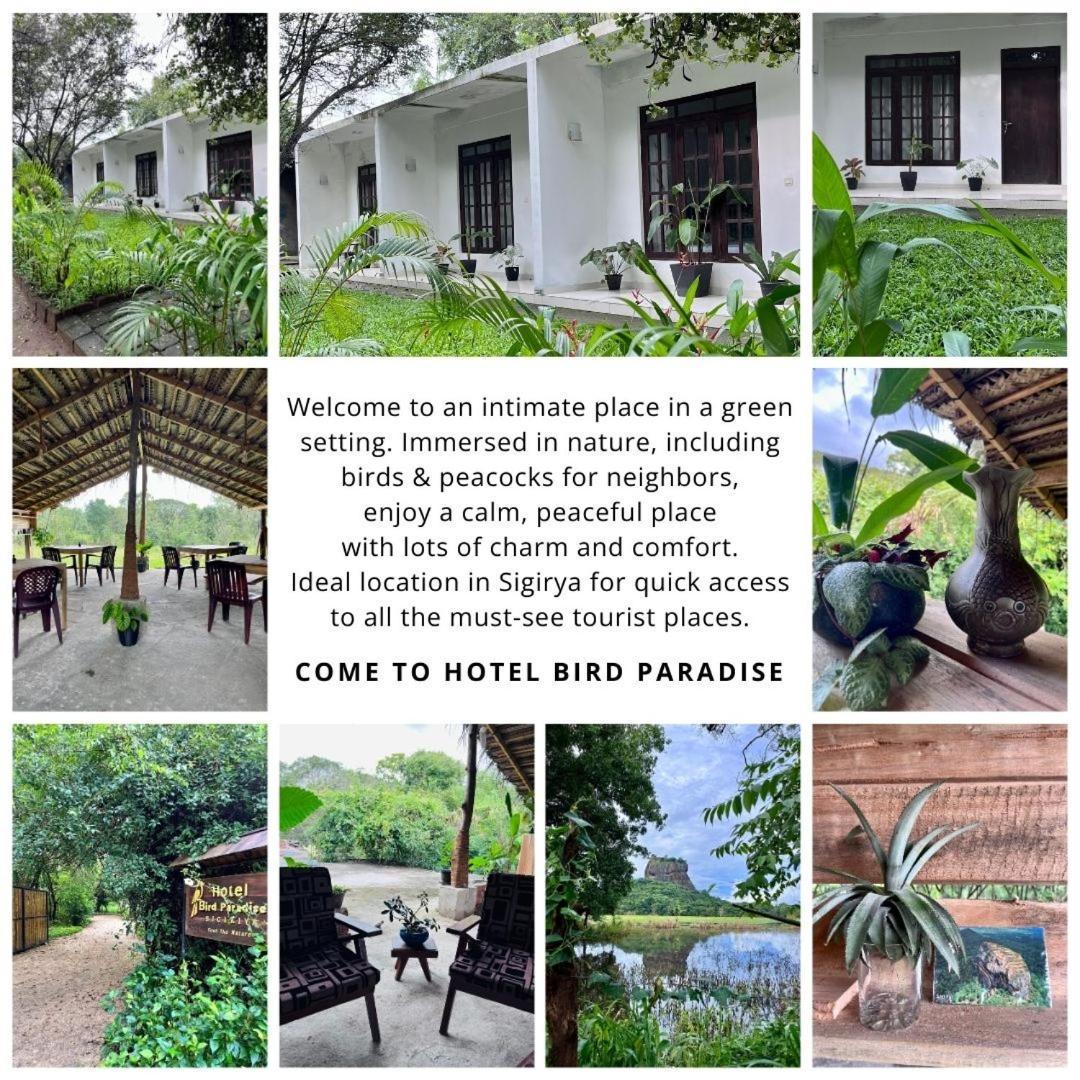 Hotel Bird Paradise Sigiriya Exterior foto